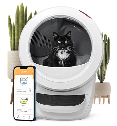 best self cleaning litter box|The 6 Best Automatic Self.